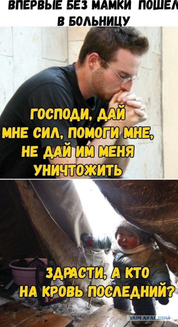 Картинки с надписями,истории и анекдоты