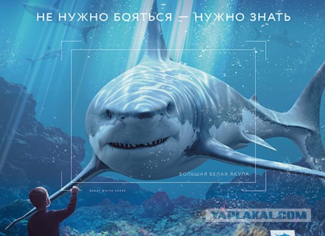Отхватил