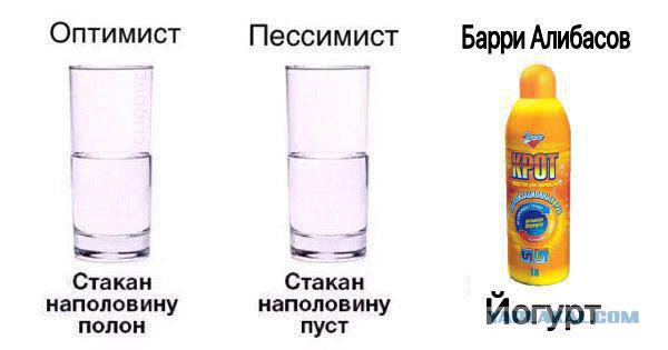Семью Алибасова обманули на 800 тысяч рублей, вернув не того кота