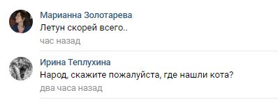 Помогите вернуть кота! Приют "Преданное сердце" украл кота и не отдает!-2