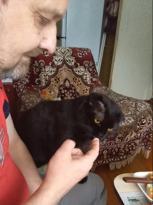 Что любят котики...