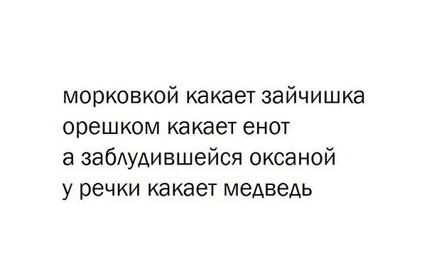 Как медведь готовится к спячке