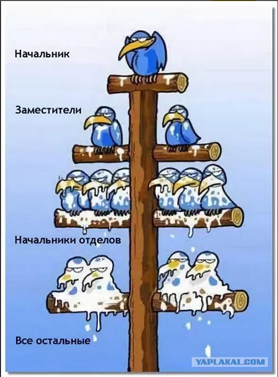 Тест на отцовство