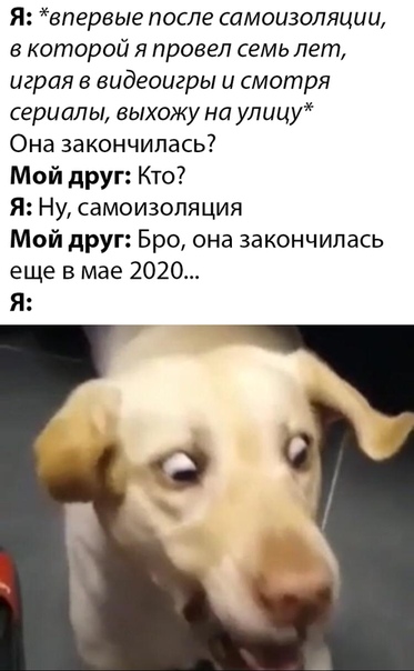 Немного картинок для настроения 13.05.20