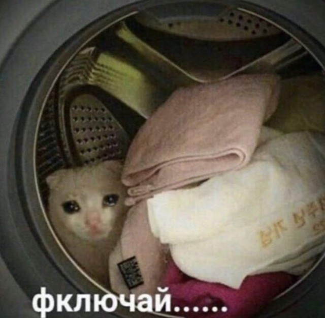 Сравнение стран по плотности населения