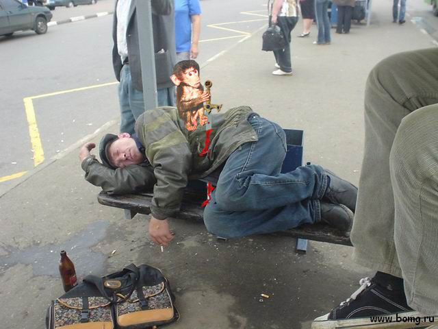Обезьяний совет
