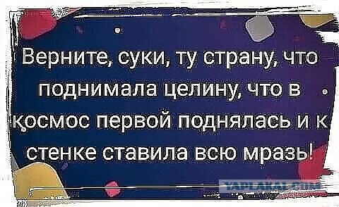 Картинки разные 08.10.2020