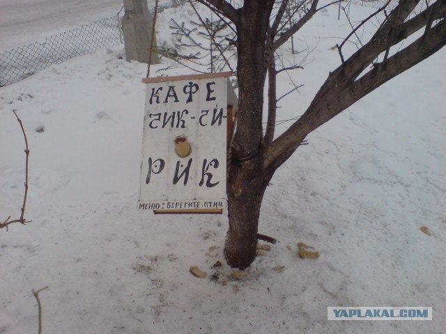Саня, мы отбились!, Драка в магазине. Красноярск, Командор