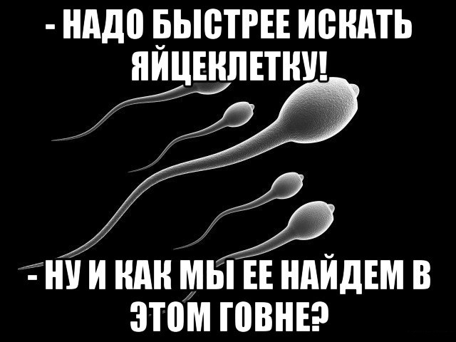 Пятница. И немного слегка пошлых картинок с надписями и без 16+ (16.04)