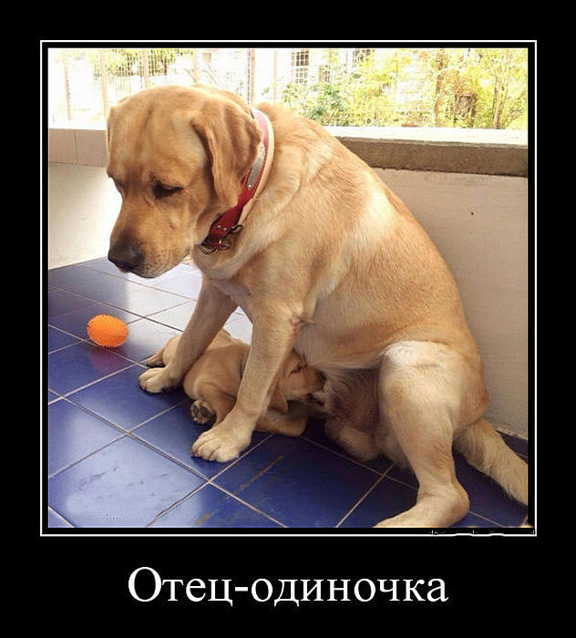 Воскресные картинки