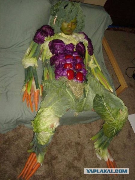Спящий судья