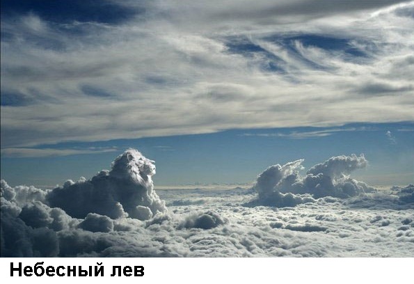 Юмор и прикольные картинки 14.05.2021