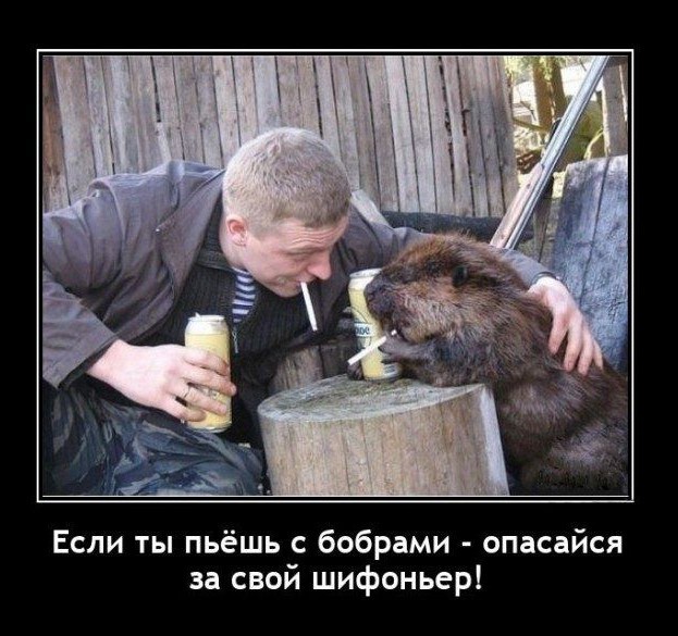 Картинки на вчера