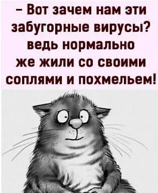 Забавные шутки, картинки и фразы из этих ваших интернетов 27.10.2021