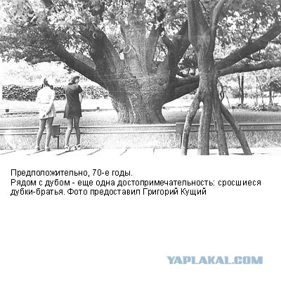 Фотографии послевоенного Запорожья