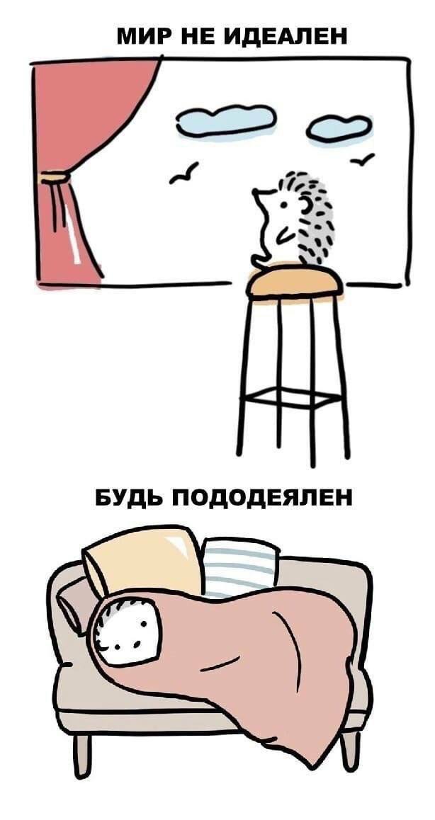 40 картинок разных 03.02.2022