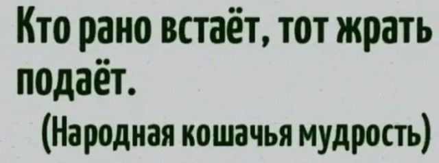 Так себе картинки 07.04.22