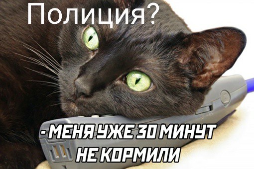 Картинки и мемы, начало праздников