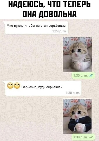 Весёлый полтишок 24.05.22
