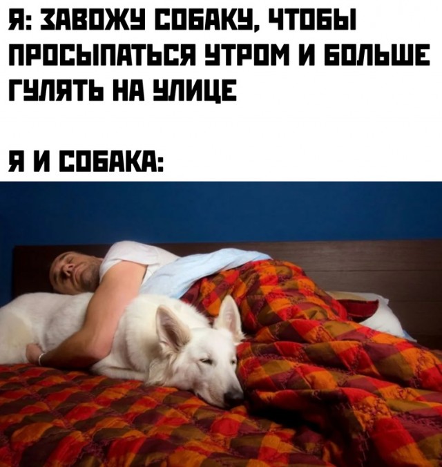 Немного картинок для настроения - 105
