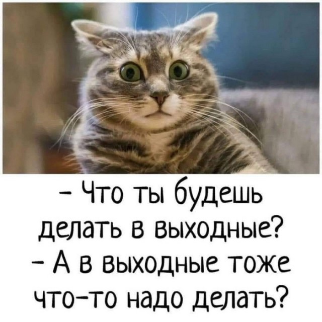 Картинки и мемы, всем хороших выходных