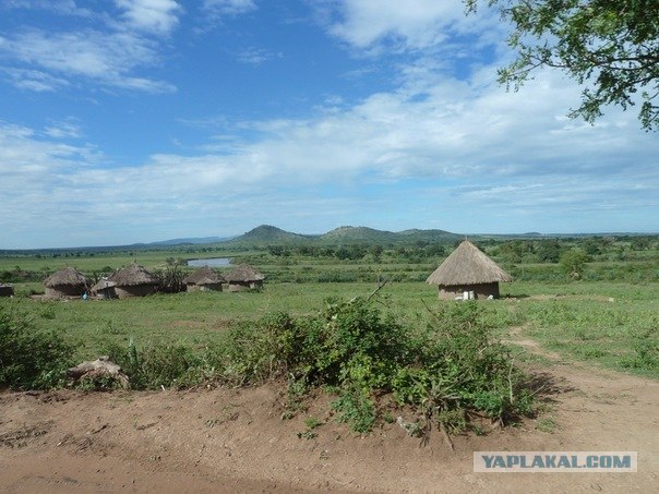 AFRICA - (Эфиопия,Кения,Танзация) 4-16 ноября 2011