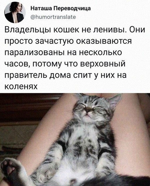Тупняк на понедельник. 17 шт.