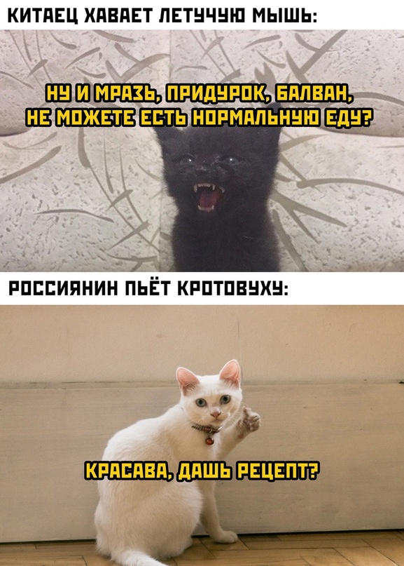 Весёлый полтишок 29.12.22