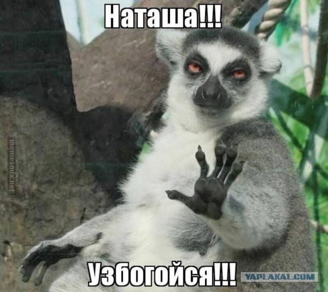Отойди, Наташа, отойди!