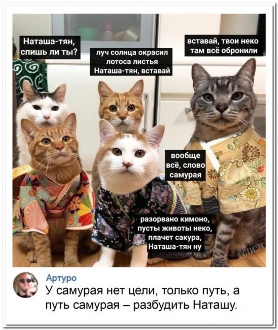 Картинки и мемы, это май-чародей всяко разно - 177