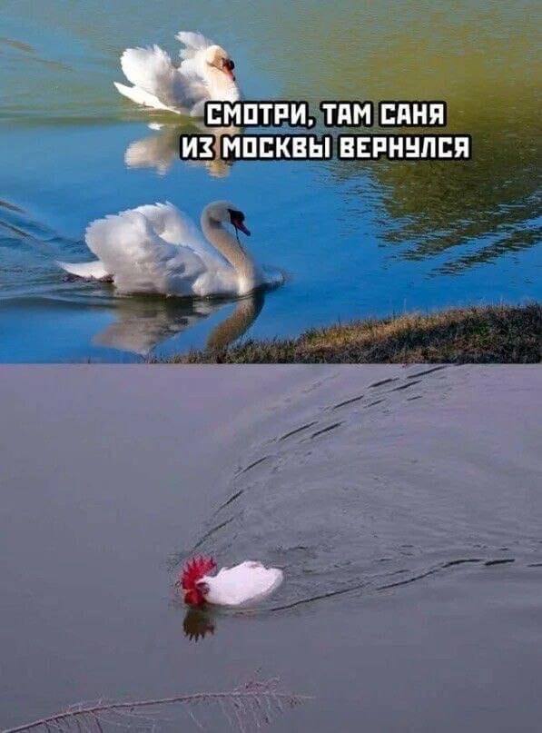 Завалялось тут случайно немного забавных картинок