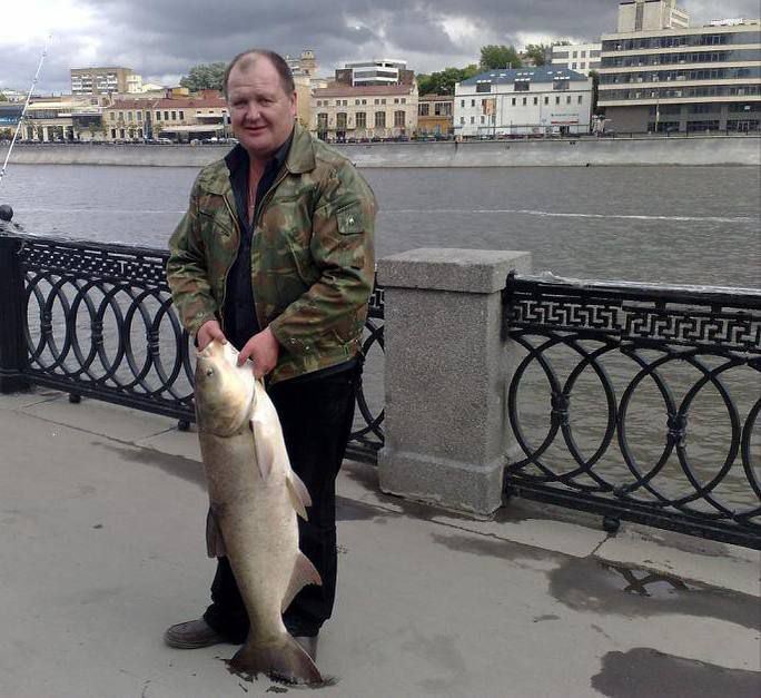 Дождливая москва. Солнце москвы. Пасмурная москва. Солнечная погода в москве. Погода в москве сегодня 2024 июль.