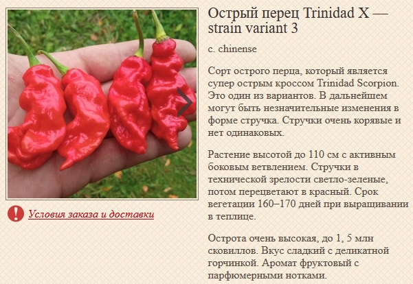 Мой скромный опыт выращивания жнеца