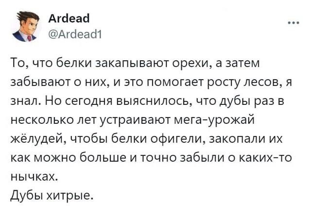 Так себе картинки 19.09.24