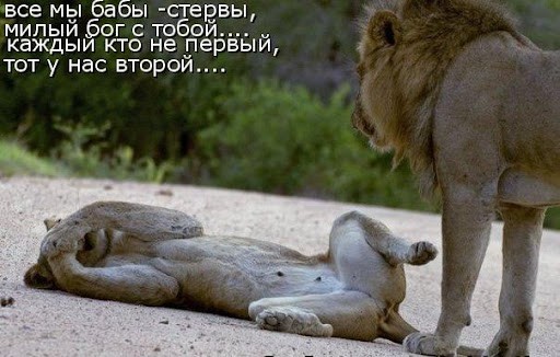 Тетеньки глубокого удовлетворения - 47