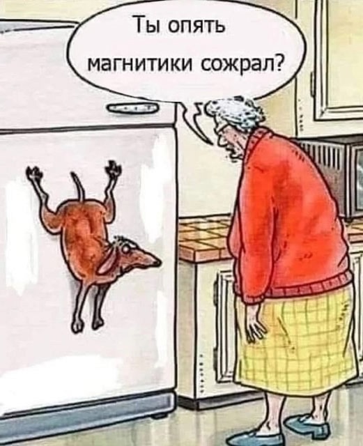Так себе картинки 15.10.24