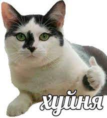 Точно