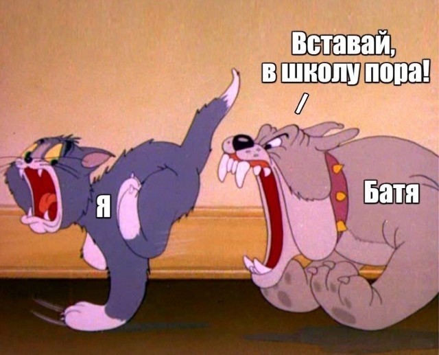 Веселое настроение в картинках (13.08.2025)