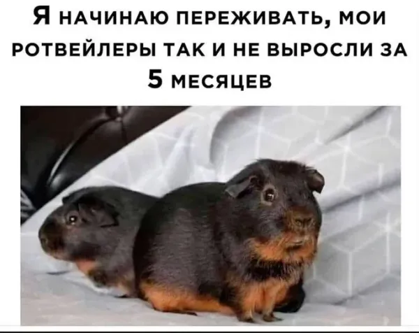 Прикольные и просто красивые картинки 25.11.2025