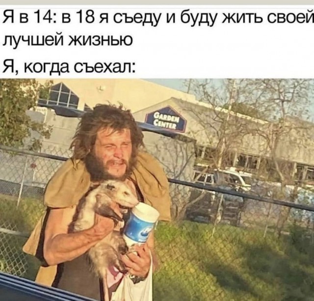 Картинки для деградации 178 (разной степени свежести)