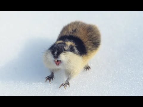 Они меня вдохновляют!