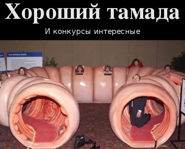 47 начальников внаглую маринуют шалык!