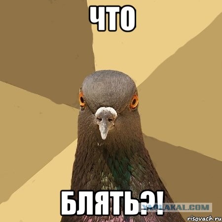 Пентиум стоячий в виде браузера