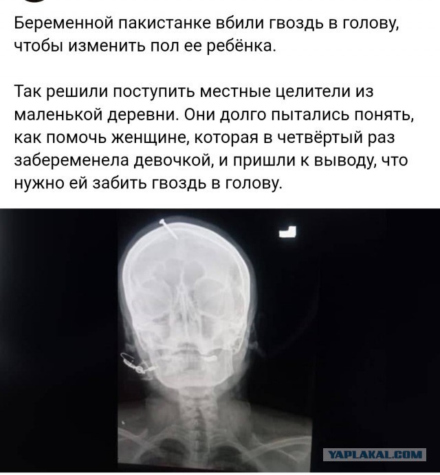 Забавные картинки, шутки из этих ваших интернетов