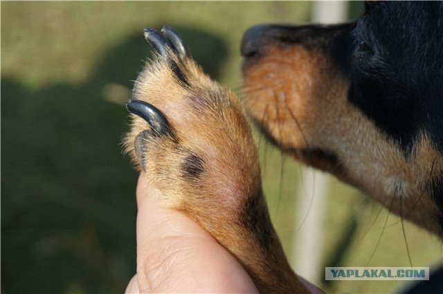 Я не знаю как это озаглавить. Часть 2.
