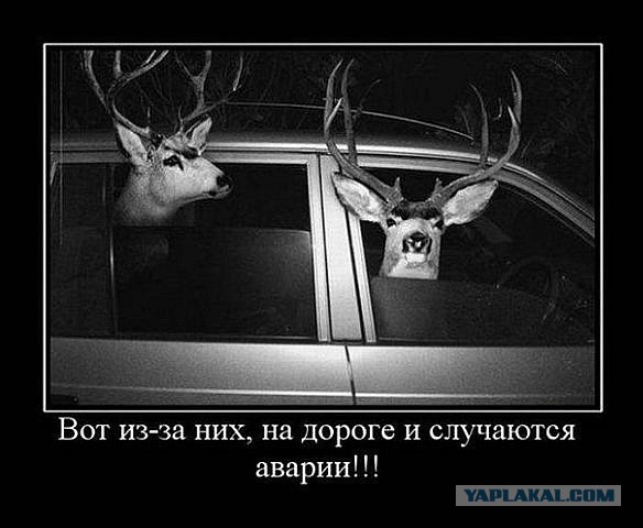 Внезапно!