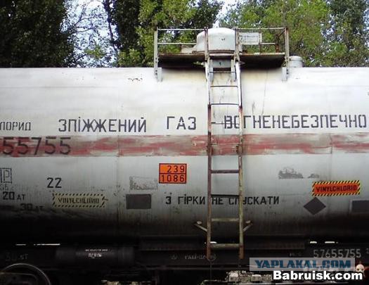 10 метровый( в высоту) кордон с Россией