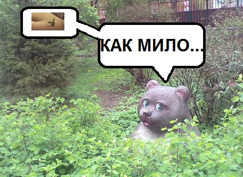 Двойные стандарты у них и у нас:)