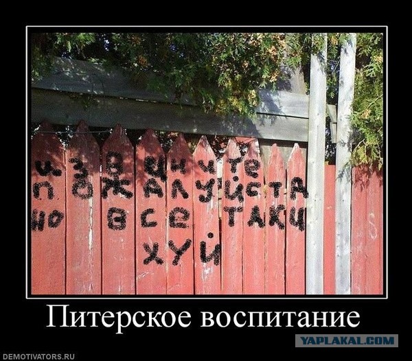 Это просто ужас!