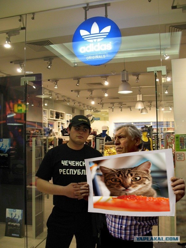 Битва мозгов.